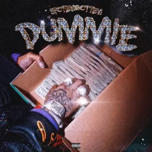 spotemgottem - Dummie