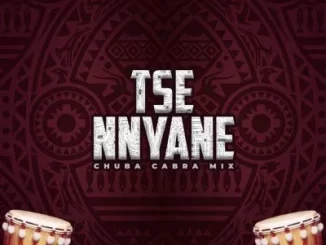 Afrikan Roots, Vusi Ma R5, Enny Man Da Guitar – Tse Nyane (Afrikan Roots Chuba Cabra Instrumental Mix)