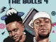 Home-Mad Djz - The Bulls 4