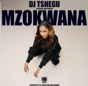 DJ Tshegu - Mzokwana ft Sims Noreng