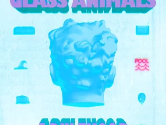 Glass Animals – ADULTHOOD