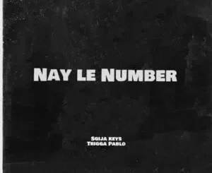 Sgija Keys & TriggaPablo - Nay Le Number Ft. Blaqboy Musiq, M00tion & Mr Ternity