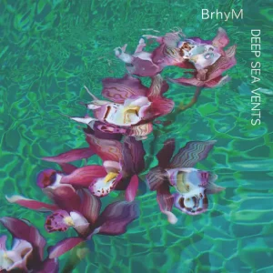 BrhyM, Bruce Hornsby & yMusic – Deep Sea Vents