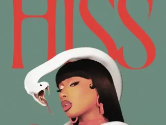 Megan Thee Stallion - HISS