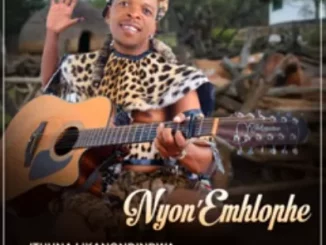 Album: Nyon’emhlophe - Ithuna likanondindwa