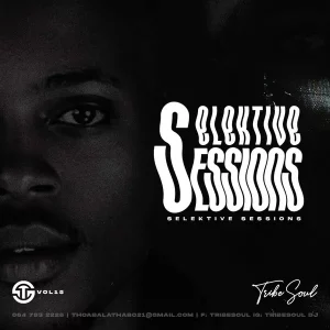 TribeSoul - Selektive Sessions 015 Mix