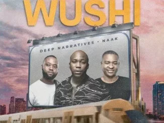 Deep Naratives & Naak - Wushi