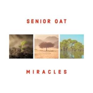 Senior Oat – Miracles