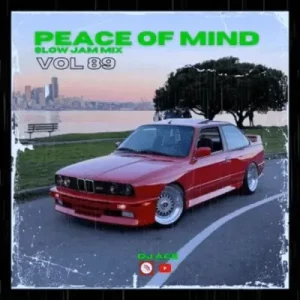 DJ Ace – Peace of Mind Vol 89 (28 July 2024 Slow Jam Mix)