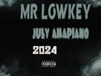 Mr Lowkey – July 2024 Amapiano Mix