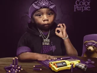 Jay Fizzle – The Color Purple