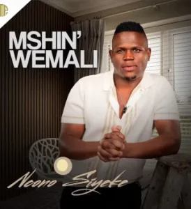 Mshinwemali – Ngena