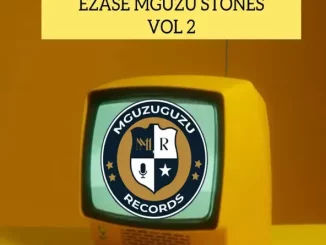 uLazi & Infinity MusiQ – Ezase Mguzu Stones, Vol. 2