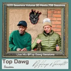 Skroef28 & Hugo – Top Dawg Sessions Amapiano Mix