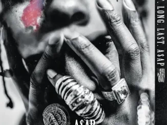 A$AP Rocky - L$D