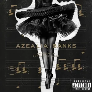 Broke with Expensive Taste

Azealia Banks